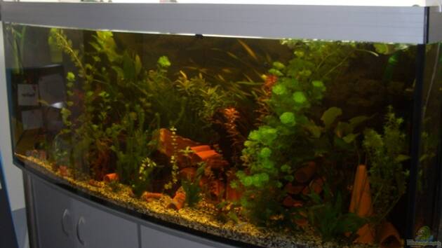 Zum Beispiel Becken 2795