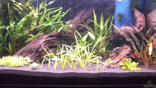 Zum Beispiel Becken 2827