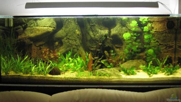 Zum Beispiel Becken 2842