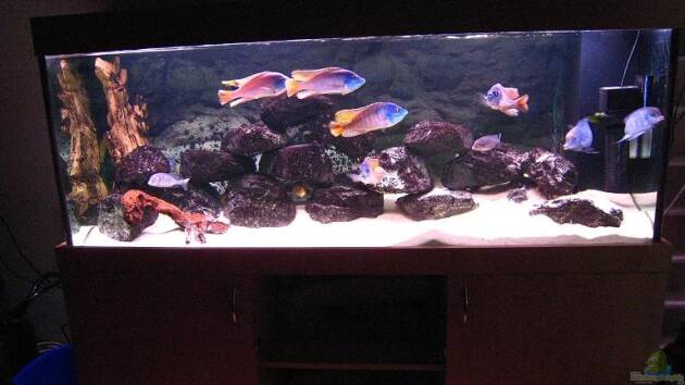 Zum Beispiel Becken 2898