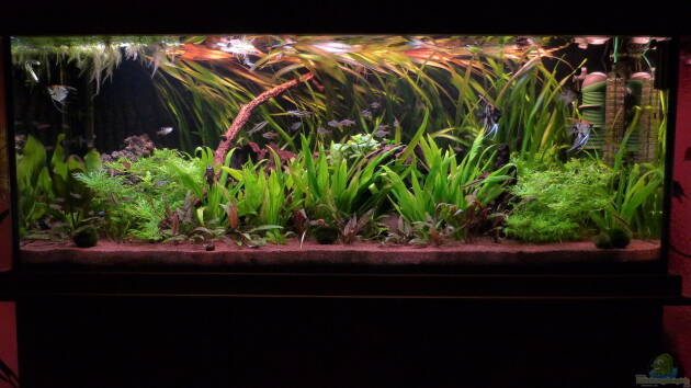 Zum Beispiel Aqualux Exklusiv 450 Liter