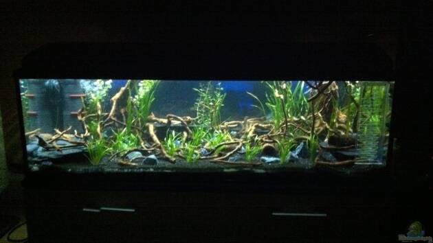 Zum Beispiel L 46 Rio Xingu