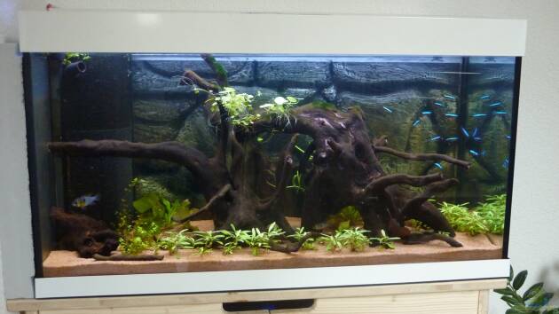 Zum Beispiel South Amerika from South Tyrol