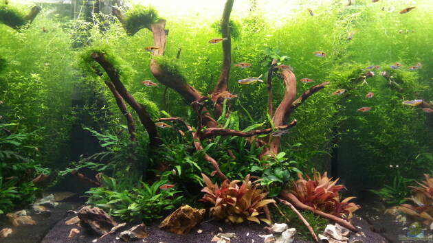 Zum Beispiel 216l cube no name