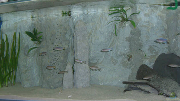 Zum Beispiel Becken 3043