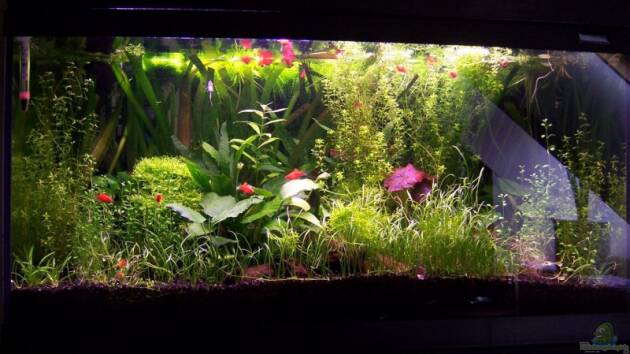 Zum Beispiel Becken 3057