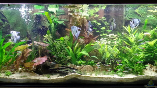 Zum Beispiel Die Herausforderung