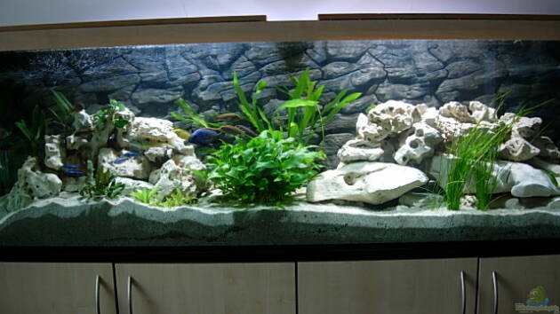 Zum Beispiel Becken 3076