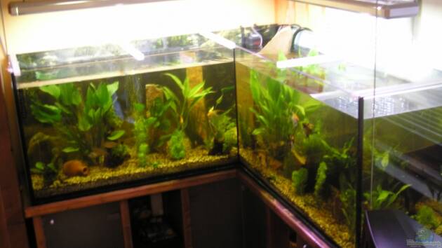 Zum Beispiel Becken 3106