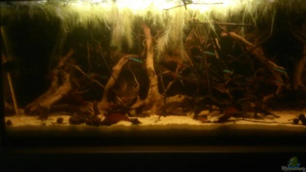 Zum Beispiel Kleines Rio Negro Imitat