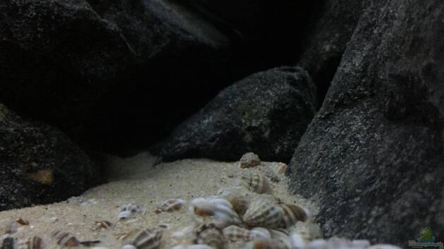 Zum Beispiel See der Sterne