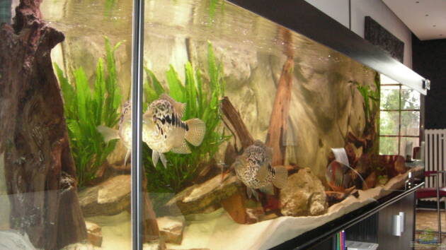 Zum Beispiel Becken 3221