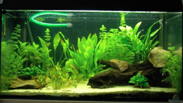 Zum Beispiel Becken 3245