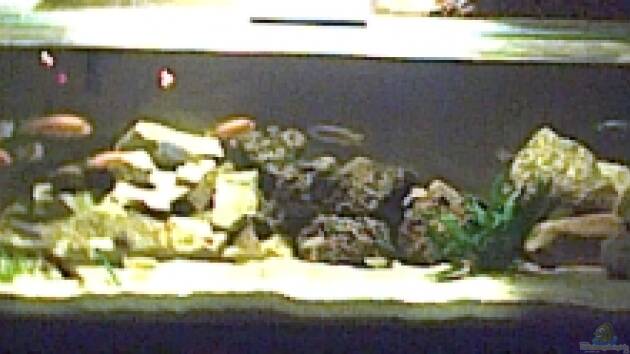 Zum Beispiel Becken 325