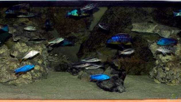 Zum Beispiel Becken 327