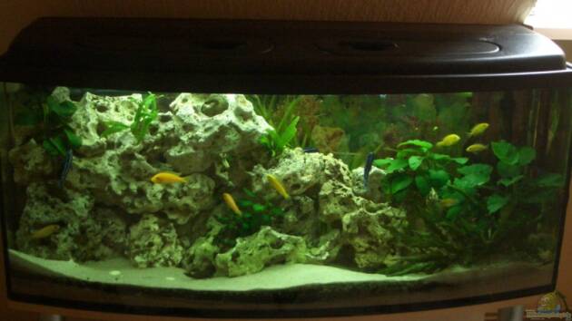 Zum Beispiel Becken 3310