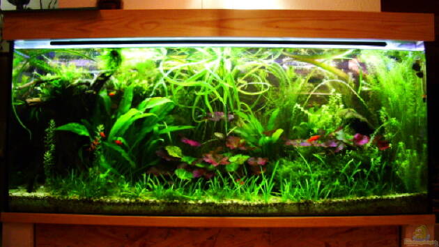 Zum Beispiel Becken 3349