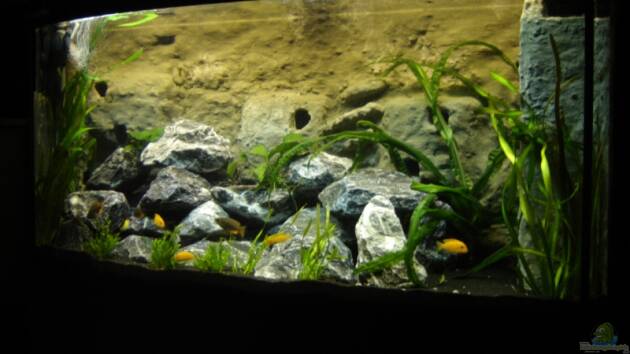 Zum Beispiel Becken 3353