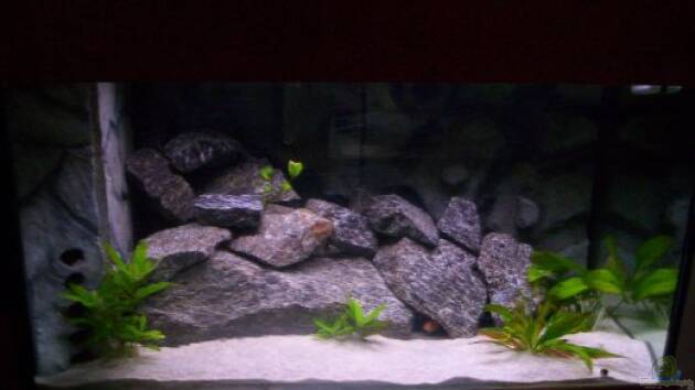 Zum Beispiel Becken 3441