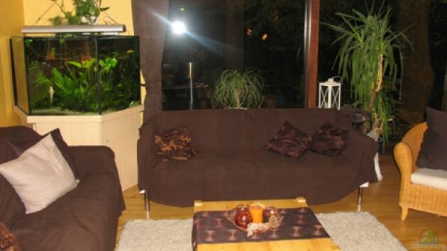 Zum Beispiel Heimat in 6 Ecken (nur noch als Beispiel)