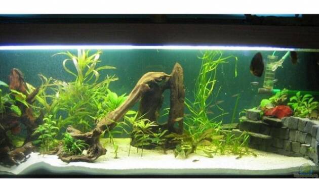 Zum Beispiel Becken 3536