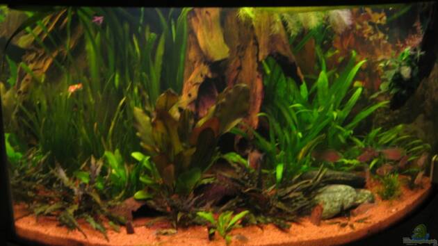 Zum Beispiel Becken 3560