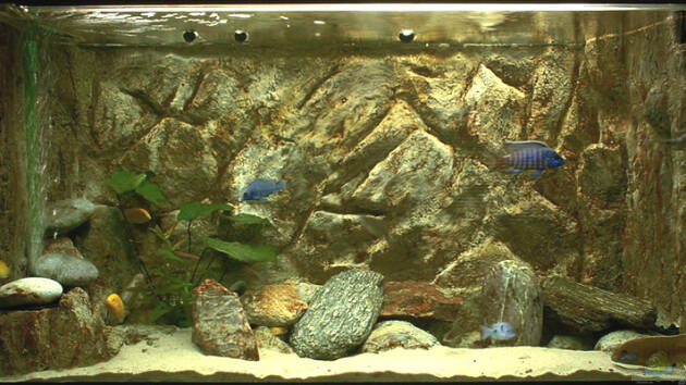 Zum Beispiel Becken 361