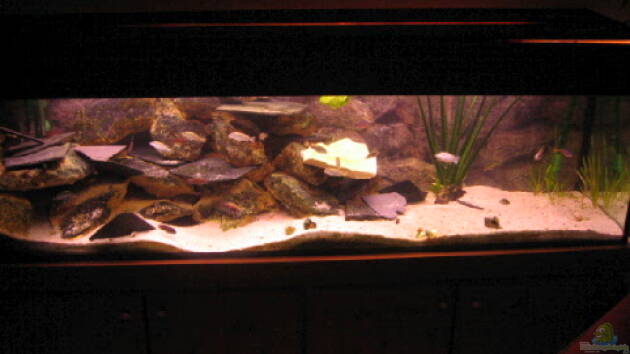 Zum Beispiel Becken 381