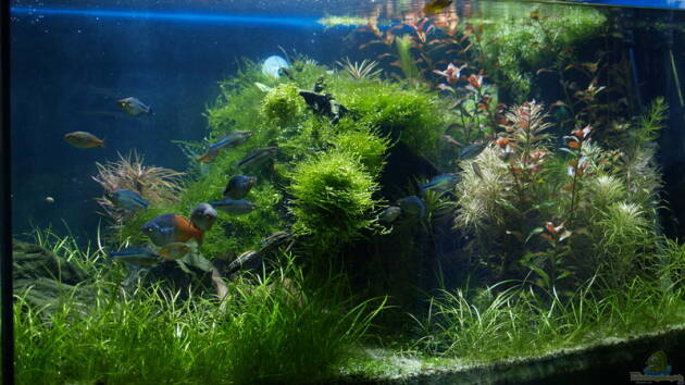 Zum Beispiel Becken 3938