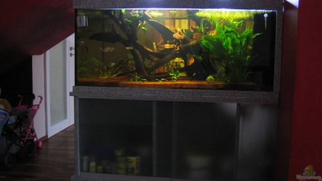 Zum Beispiel Becken 3967