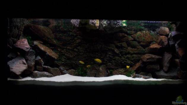 Zum Beispiel Becken 3989