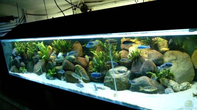 Zum Beispiel Becken 412