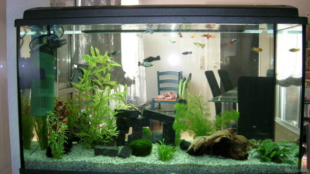 Zum Beispiel Becken 4225