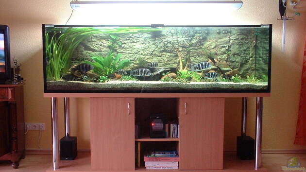 Zum Beispiel Becken 430