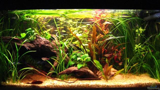 Zum Beispiel Becken 4402