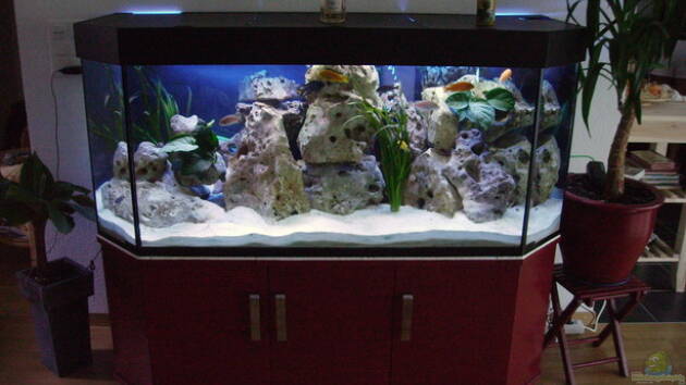 Zum Beispiel Becken 4411