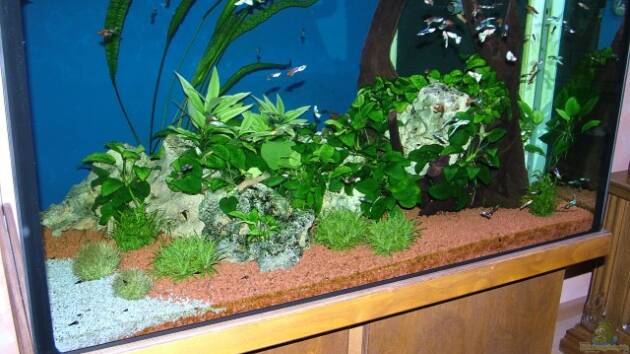 Zum Beispiel Becken 4424