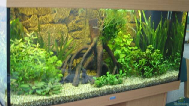 Zum Beispiel Becken 4510