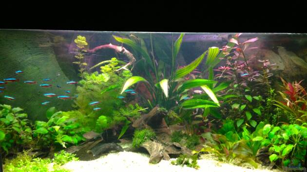 Zum Beispiel Amazonas Delta ( nur noch als Beispiel )