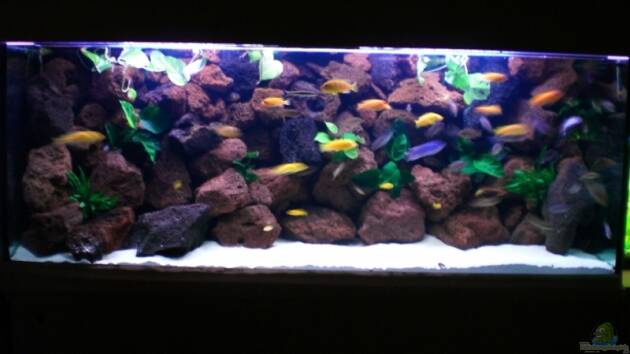 Zum Beispiel Becken 4763