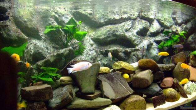 Zum Beispiel Becken 4847