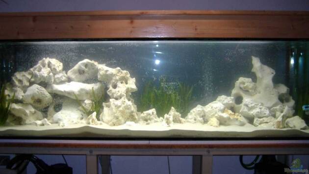 Zum Beispiel Becken 4902