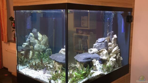 Zum Beispiel Becken 5002