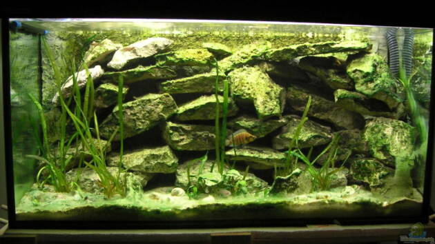 Zum Beispiel Becken 511