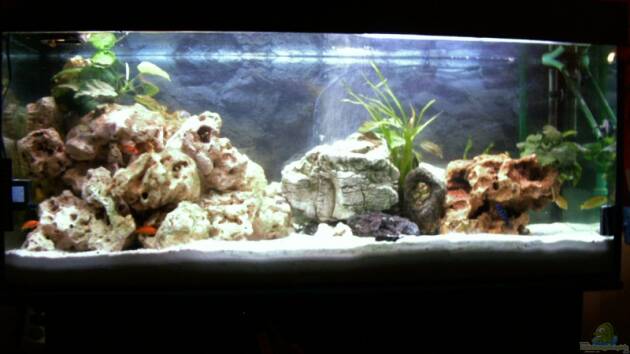 Zum Beispiel Becken 5371