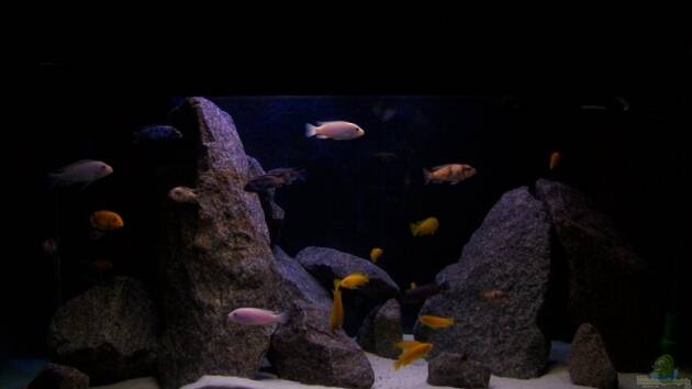 Zum Beispiel MBUNAS von 2003 bis 2009