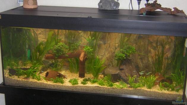 Zum Beispiel Becken 5480