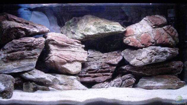 Zum Beispiel Becken 5525