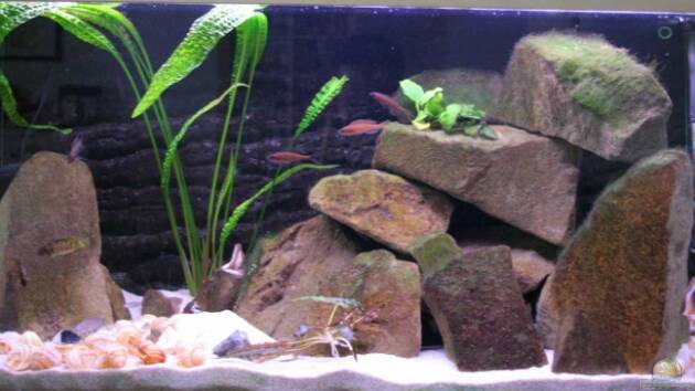 Zum Beispiel Becken 566