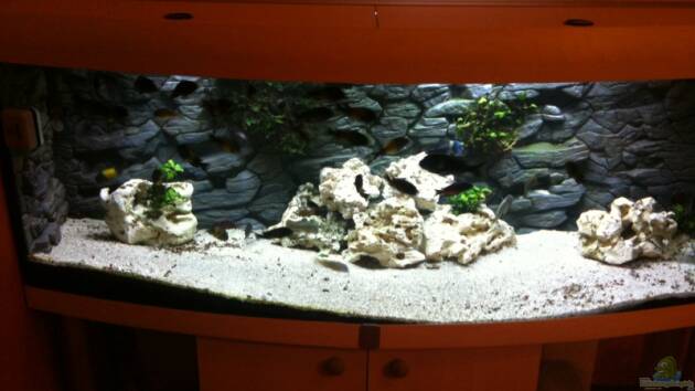 Zum Beispiel Becken 5806